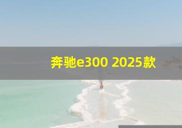 奔驰e300 2025款